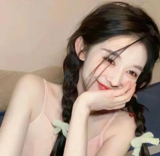 克努特和它的朋友们